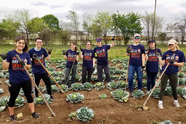 UTSA Honors Students working in community garden